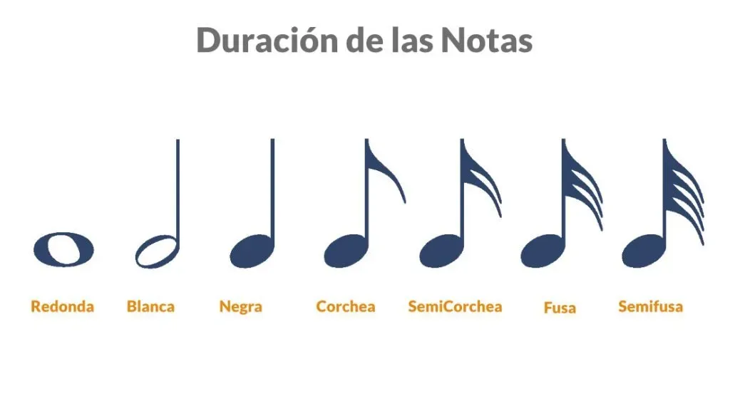 Figuras musicales de mayor a menor duración: redonda, blanca, negra, corchea, semicorchea, fusa y semifusa