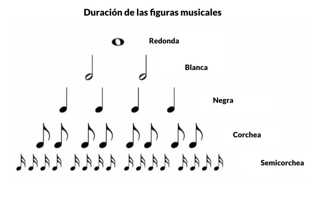 Pirámide de figuras: una redonda equivale a dos blancas, cuatro negras, ocho corcheas o dieciséis semicorcheas
